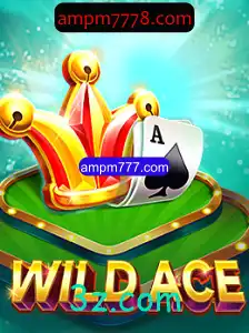 Explorando o Mundo de WildAce: Um Guia Completo para Iniciantes